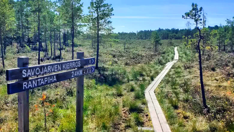 Savojärven kierros, Kurjenrahka