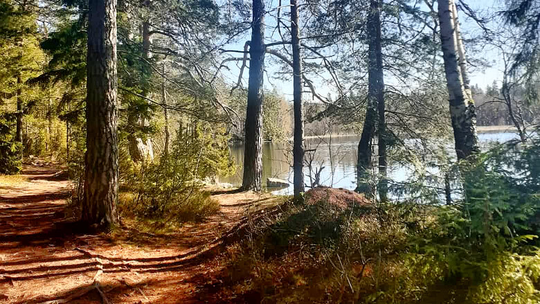 Littoistenjärven luontoa