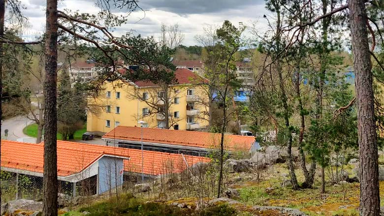 Metsää ja rakennuksia
