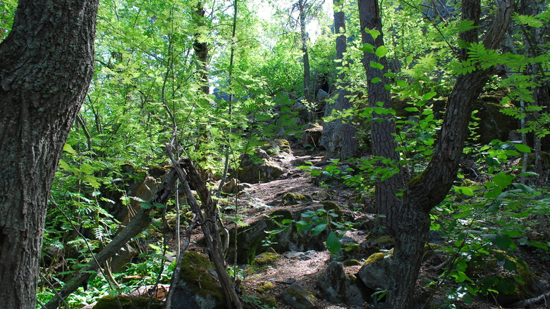 luolavuorenluolat